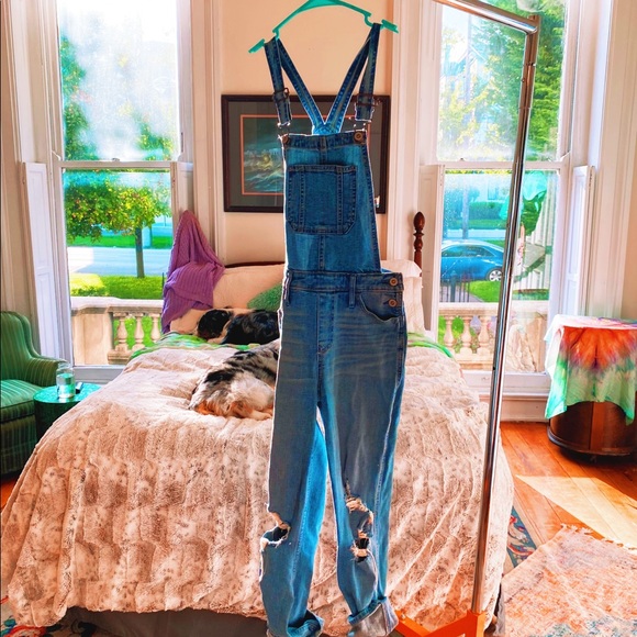 Hollister Artist Distressed Denim Overalls (Full) - Picture 8 of 12